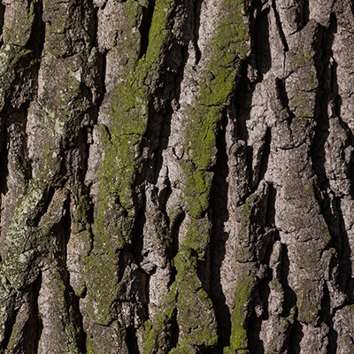 product-bark