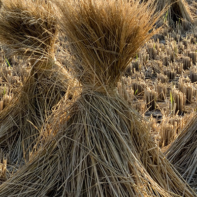 product-straw