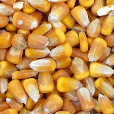 products-corn